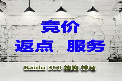 某企业通过SEO和SEM双管齐下实现业绩飞跃的案例